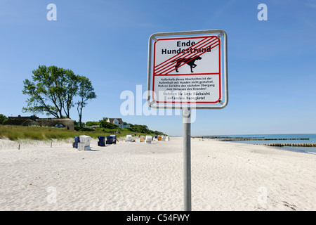 Segno sulla spiaggia del cane di Ahrenshoop, Fischland-Darss-Zingst peninsula, Mar Baltico, North Western Pomerania distretto, Mecklenburg Foto Stock