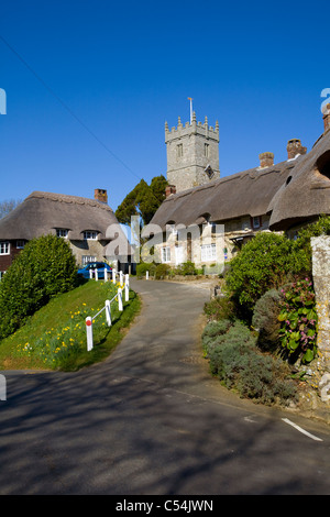 Cottage con il tetto di paglia, narcisi, case, chiesa, Godshill, Isle of Wight, England, Regno Unito Foto Stock