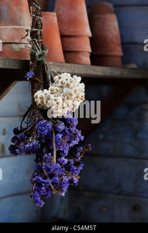 Victorian Potting Shed a RHS Harlow Carr, Inghilterra Foto Stock