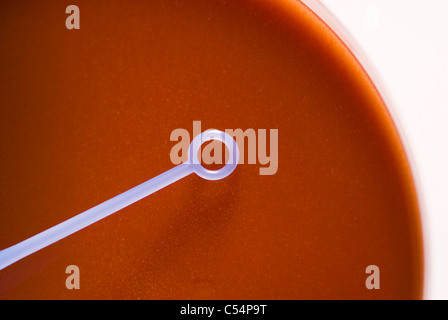 Piastra di petri con anello isolato su uno sfondo bianco con spazio per il testo o sfinestratura Foto Stock