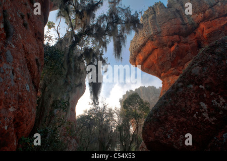 Le formazioni rocciose, Vila Velha del Parco Statale di Ponta Grossa, Stato di Parana, Brasile Foto Stock