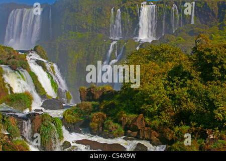 Cascate in una foresta, cascate Iguacu, Argentina-Brazil confine Foto Stock