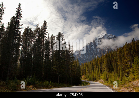 Autostrada passando attraverso una foresta, Parco Nazionale di Banff, Alberta, Canada Foto Stock