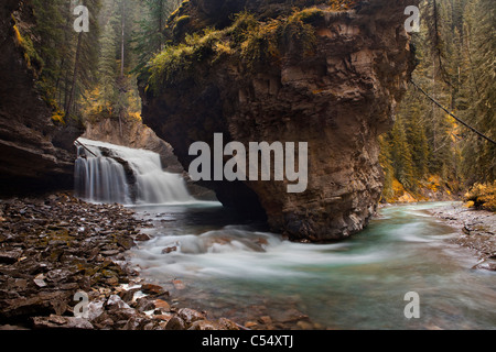 Cascata in una foresta, Johnston Creek, Canyon Johnston, Bow Valley Parkway, il Parco Nazionale di Banff, Alberta, Canada Foto Stock