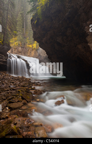 Cascata in una foresta, Johnston Creek, Canyon Johnston, Bow Valley Parkway, il Parco Nazionale di Banff, Alberta, Canada Foto Stock