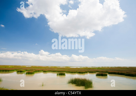 Il Coto Donana, Andalusia, uno dei più imortant wetland wildlife siti in Europa. Foto Stock