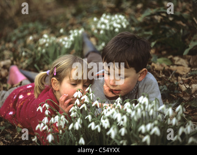 I bambini guardando il bucaneve in un bosco, Cornwall, Regno Unito Foto Stock