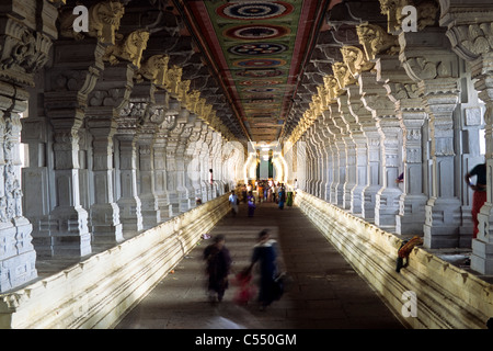 India, Tamil Nadu, Rameswaram, 646 piedi lungo Ramanathaswamy temple's corridoio, Ramanathaswamy temple il corridoio è il Foto Stock