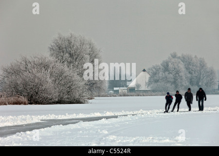 I Paesi Bassi, Gaastmeer, pattinaggio sul lago ghiacciato di gelo e neve paesaggio. Fattoria di sfondo. Foto Stock