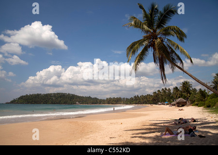 Presso la spiaggia da sogno in Mirissa, Sri Lanka Foto Stock