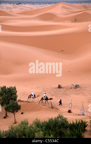 Persone a cavallo di cammelli in un deserto deserto del Sahara, Marocco Foto Stock