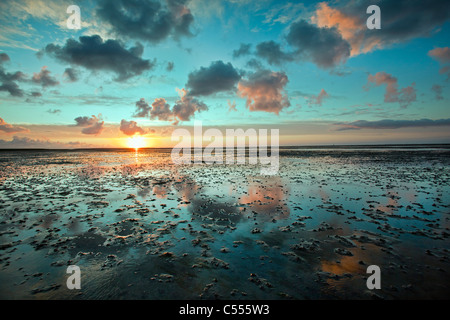 I Paesi Bassi, Buren, isola di Ameland, appartenente al mare di Wadden Islands. Unesco - Sito Patrimonio dell'umanità. Appartamenti di fango. Sunrise. Foto Stock