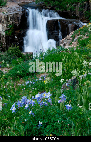 Basso angolo vista di una cascata, Yankee Boy bacino, San Juan Mountains, Colorado, STATI UNITI D'AMERICA Foto Stock