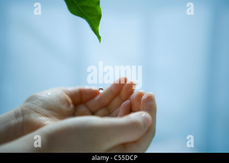 Le mani si sono riuniti per ottenere una goccia di acqua Foto Stock