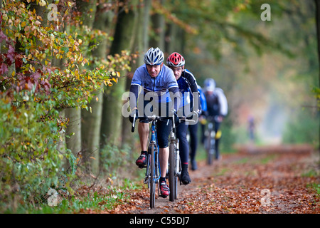 I Paesi Bassi, Winterswijk, i colori autunnali, alberi, country road. Gli uomini in mountainbike Foto Stock