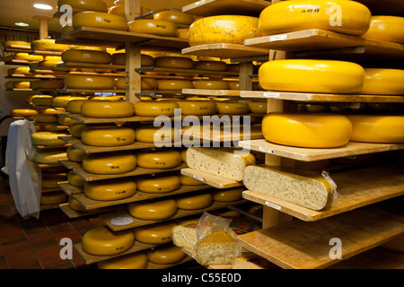 I Paesi Bassi, Lievelde, aria aperta villaggio storico, Museo Erve Kots. Fabbrica di formaggio e il negozio. Foto Stock