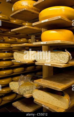 I Paesi Bassi, Lievelde, aria aperta villaggio storico, Museo Erve Kots. Fabbrica di formaggio e il negozio. Foto Stock