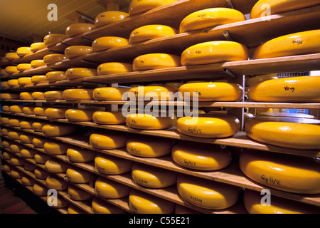 I Paesi Bassi, Lievelde, aria aperta villaggio storico, Museo Erve Kots. Fabbrica di formaggio e il negozio. Foto Stock