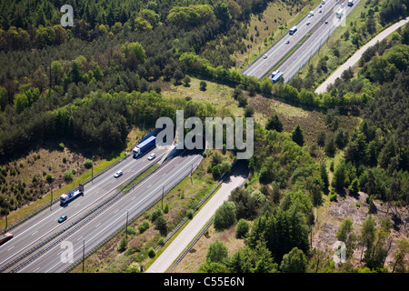 Paesi Bassi, Hoenderloo, autostrada o autostrada e eco crossover per la fauna. Ecodotto. Antenna. Ponte sulla fauna selvatica. Attraversamento della fauna selvatica. Foto Stock