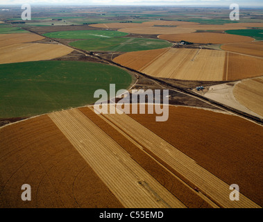 Vista aerea di campi irrigati, Denver, Colorado, STATI UNITI D'AMERICA Foto Stock