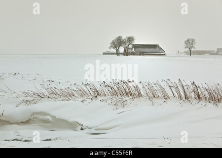 I Paesi Bassi, Uithuizen, neve in canal con la fattoria in background. Foto Stock