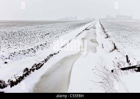 I Paesi Bassi, Uithuizen, neve in canal con la fattoria in background. Foto Stock