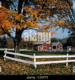 USA, Vermont, Chittenden, farm in autumn Foto Stock
