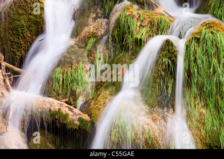 Scenic acqua di ruscello che scorre a cascata su rocce ricoperte di erba e muschio Foto Stock