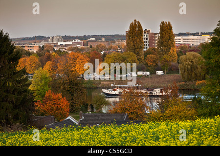 I Paesi Bassi, Maastricht, nave da carico sul fiume Maas. L'autunno. Foto Stock