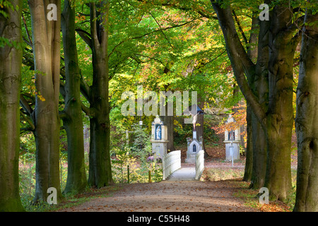 I Paesi Bassi, Valkenburg, Cattolica le statue sulla tenuta e il castello chiamato Schaloen. Foto Stock