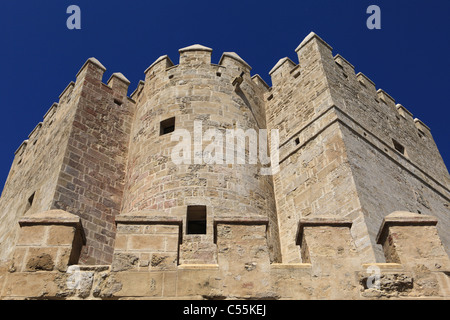 [Xiv secolo] [Torre de la Calahorra] Cordoba, Andalusia, Spagna Foto Stock