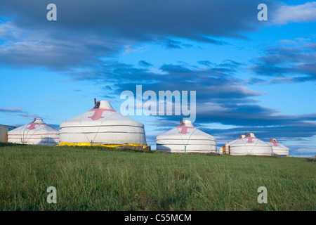 Un gruppo di yurta su un open pianura erbosa Foto Stock