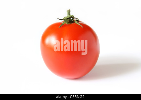 Pomodoro rosso con una coda su sfondo bianco Foto Stock