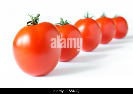 5 pomodori rossi in piedi in fila su di uno sfondo bianco Foto Stock