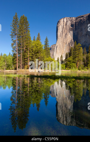 Parco nazionale di Yosemite El Capitan con il fiume Merced che scorre attraverso la valle di Yosemite Yosemite National Park in California Foto Stock