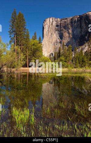 Parco nazionale di Yosemite El Capitan con il fiume Merced che scorre attraverso la valle di Yosemite Yosemite National Park in California