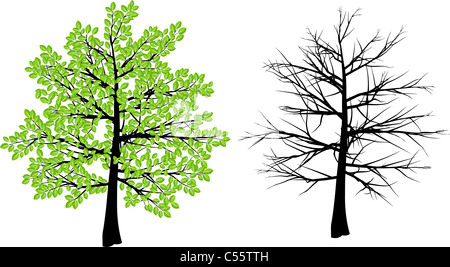 Illustrazione della struttura raffigurante la primavera e inverno Foto Stock