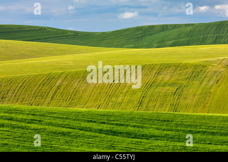 Nuvole sopra una fattoria, Palouse, nello Stato di Washington, USA Foto Stock