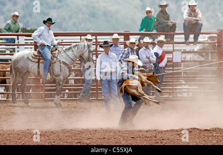 Concorrente in vitello roping evento presso l annuale Indian Rodeo tenutasi a Mescalero, Nuovo Messico. Foto Stock