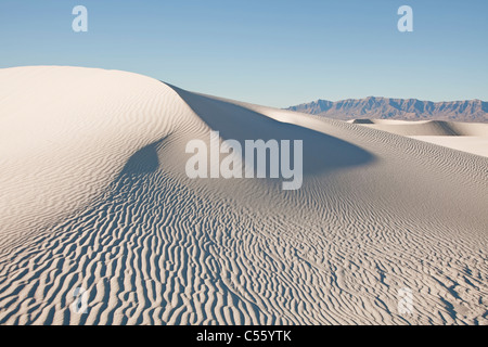 Le dune di sabbia in un deserto, White Sands National Monument, San Andres montagne, Nuovo Messico, STATI UNITI D'AMERICA Foto Stock