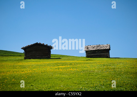 Due isolati baracche di alpini, Alpe di Siusi, Italia. Le colline verdi e blu del cielo. Foto Stock