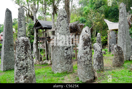 Famiglia domestica tombe tomba in Indonesia Tana Toraja, Sulawesi Foto Stock