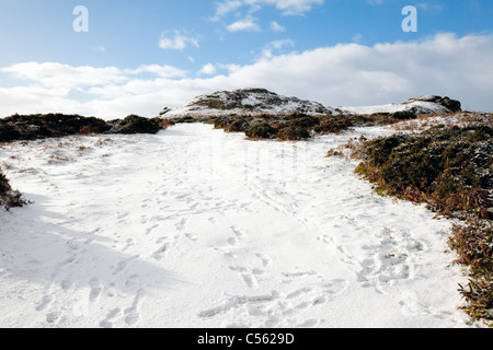 Dartmoor in Snow vicino a Saddle Tor, Devon, Inghilterra, Regno Unito Foto Stock