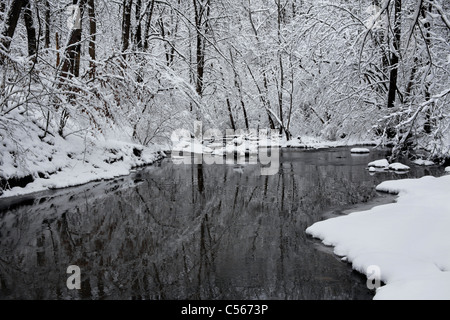 Una coperta di neve Little Creek In inverno, Keehner Park, Southwestern Ohio, Stati Uniti d'America Foto Stock