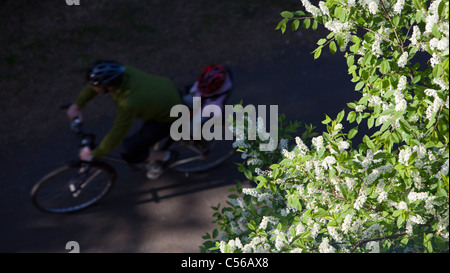 Vista aerea di un ciclista in bicicletta con bambini a bordo , Finlandia Foto Stock