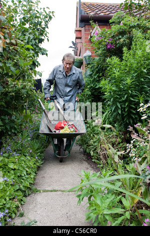 Il giardinaggio uomo spingendo una carriola fino a flower garden il percorso Foto Stock