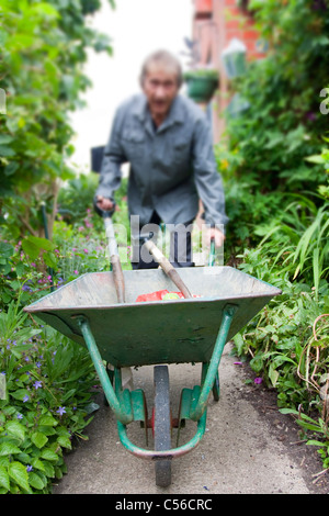 L'uomo wheeling una carriola in estate il giardino fiorito Foto Stock