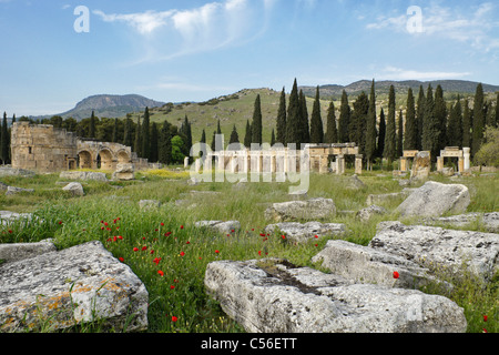 Gate e strade colonnate di necropoli, Hierapolis-Pamukkale, Turchia Foto Stock