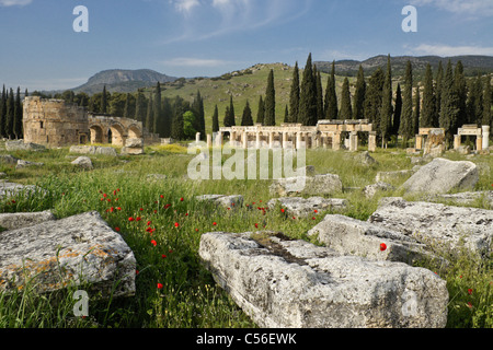 Gate e strade colonnate di necropoli, Hierapolis-Pamukkale, Turchia Foto Stock