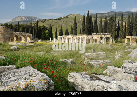Gate e strade colonnate di necropoli, Hierapolis-Pamukkale, Turchia Foto Stock